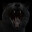NEVADA GRIM REAPER avatar