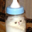 mlekowkartoniw