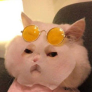 你要的姿势我全会