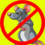 No Rats