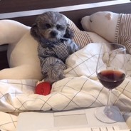 翻斗花园牛子爷