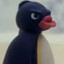 NOOT NOOT