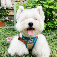 不是我喜欢的屠夫直接肘击