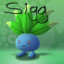 sigg