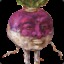 Lord of Turnips