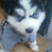 开一会儿怎么了