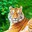 TigeRap