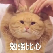 陈独秀同志
