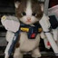 CatInGundam