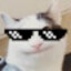kevkevinamk