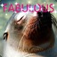 Fabulous Seal &lt;3