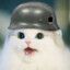 KittenWaffen