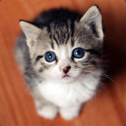 hozors - steam id 76561197961372453