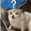 黄瓜