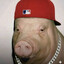 Pig Bizkit
