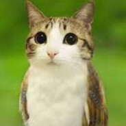 Great Googly Moogly