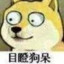 玛卡巴卡的皮卡