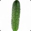 cucumber