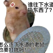 下水道的鼠鼠前辈 伞伞