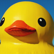 Aduck