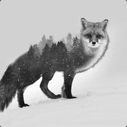 LeSnoy - steam id 76561197965557161