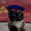 USSR CAT