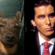 _stekus_ SKINS skins.army