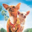 The Beverly Hills Chihuahua