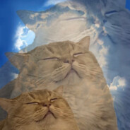 风俗店在逃牛郎