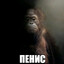 SMAIL