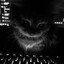 corvus-