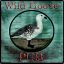 xGoose
