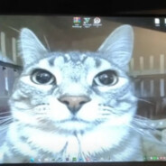 alena_pukashika_twink