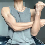 伶俐的棕色狐狸