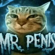 newtovv