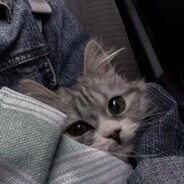 迎着阳光盛大逃亡