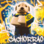 cachorrao