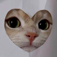 WowMeow