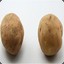 2  potatoes