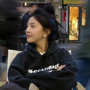 马达加斯加的企鹅