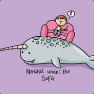 narwhal kitten