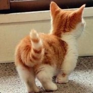 在外妻管严在家妻伤拳