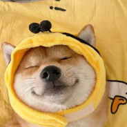 桓台彭于晏:Π:--)