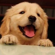 女人你在玩火是吗