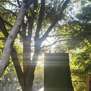 和我中间隔着泪