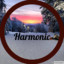 HarmonicAnt1