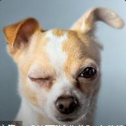 万人称我美食家