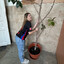 celi.tkd