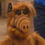ALF_ALF