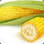 Corn Cob Rob